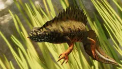 Danube Crested Newt
